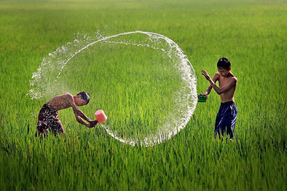 Nước rửa chén sạch cho cả tương lai